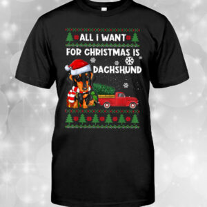All I Want for Christmas T-Shirt